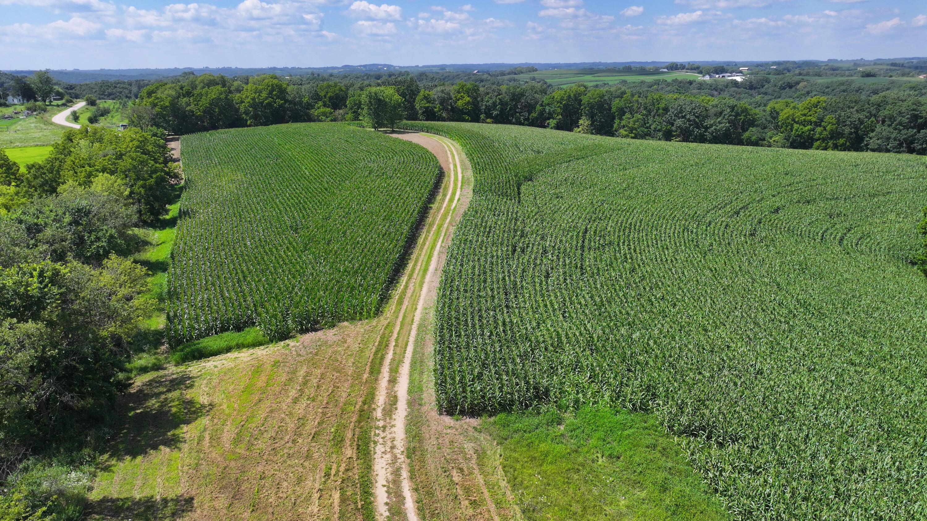 14096 Turben Ridge Road Clayton, WI 54655 - Photo 6 of 59 6