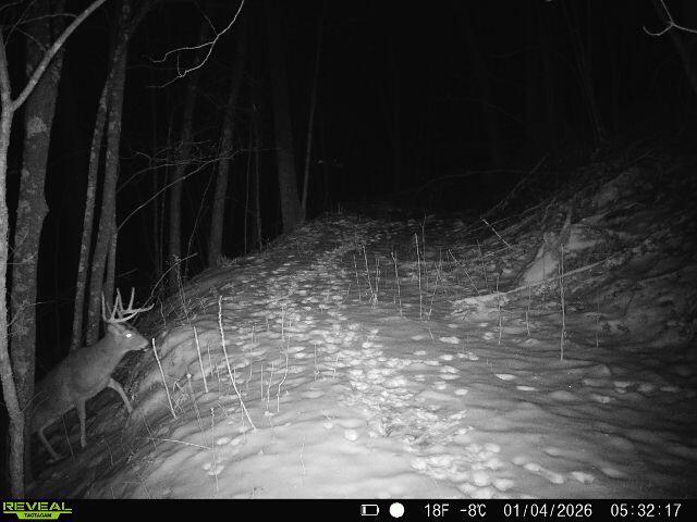 14096 Turben Ridge Road Clayton, WI 54655 - Photo 61 of 66 1000030620