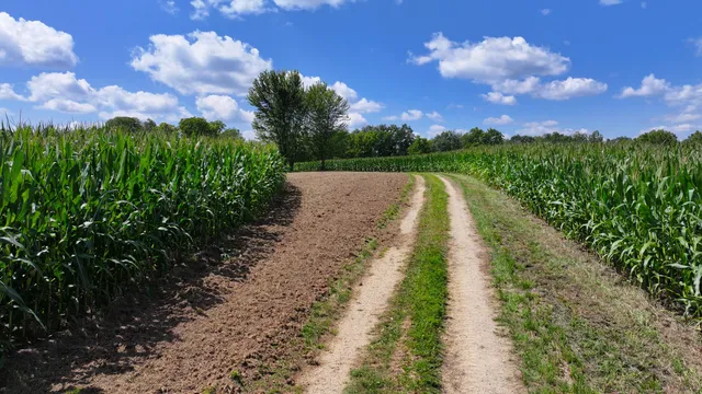 $649,900 | 14096 Turben Ridge Road, Clayton, WI 54655