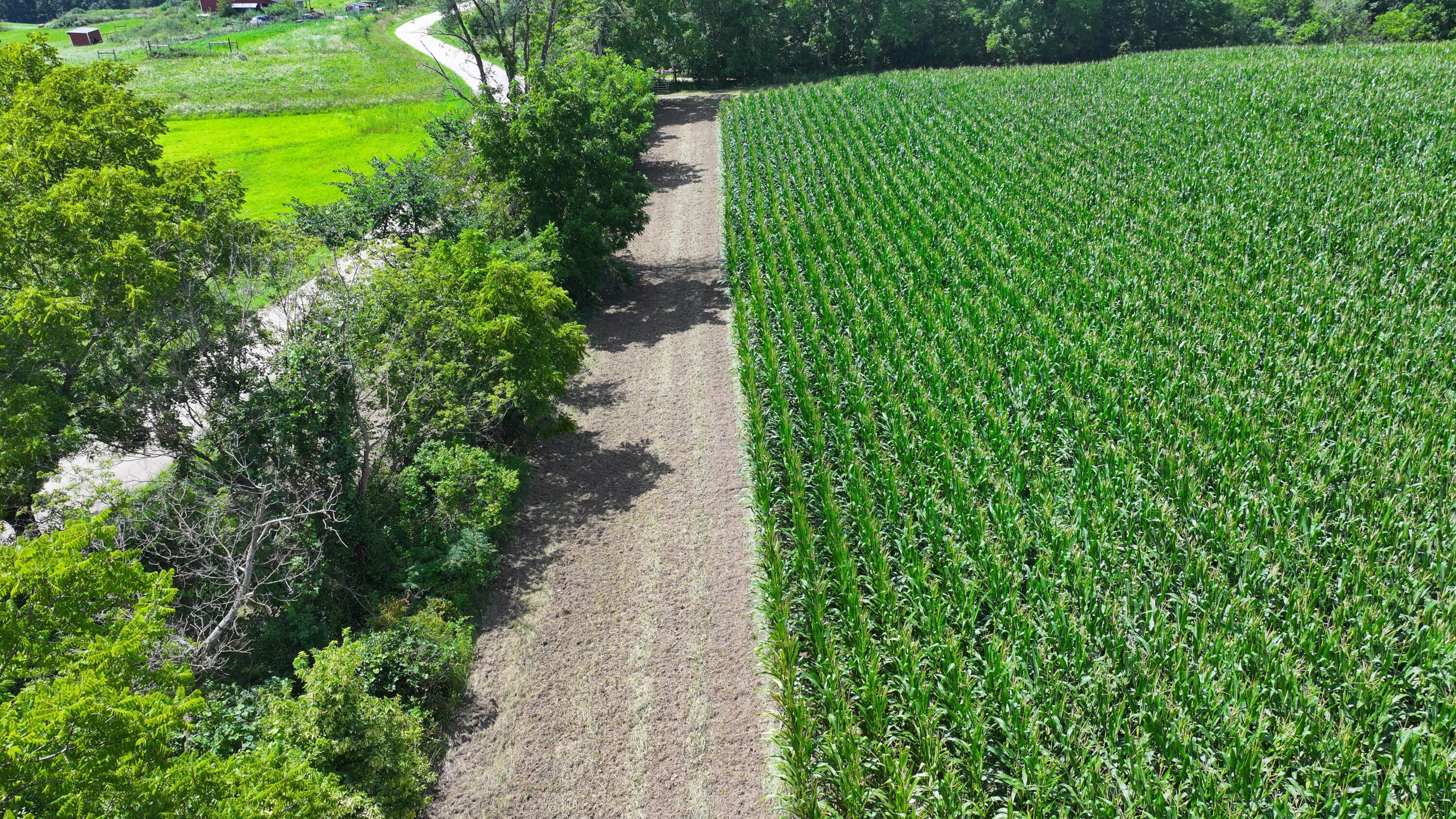 14096 Turben Ridge Road Clayton, WI 54655 - Photo 9 of 59 9