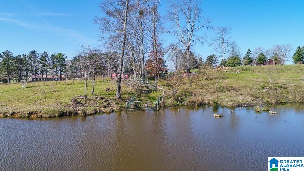 348 County Road 370, Unit 1 Clanton, AL 35045 - Photo 9 of 10