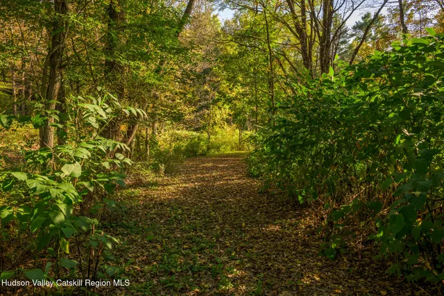 a view of a bench under a large tree