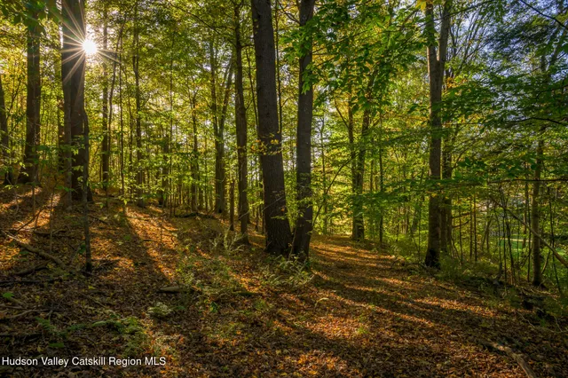 a view of a big yard with lots of green space and mountain view