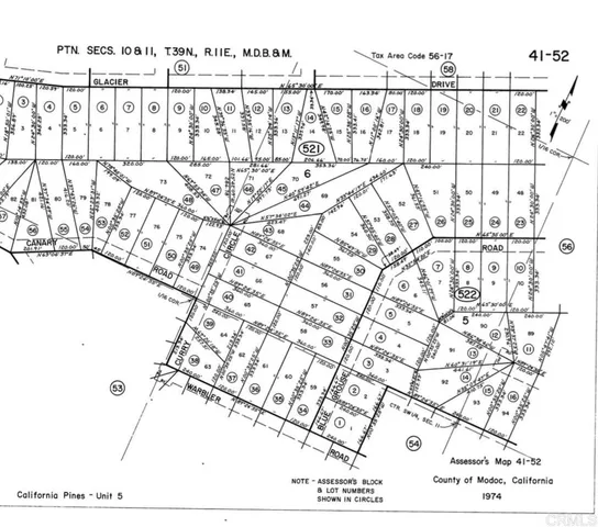 a picture of a plant