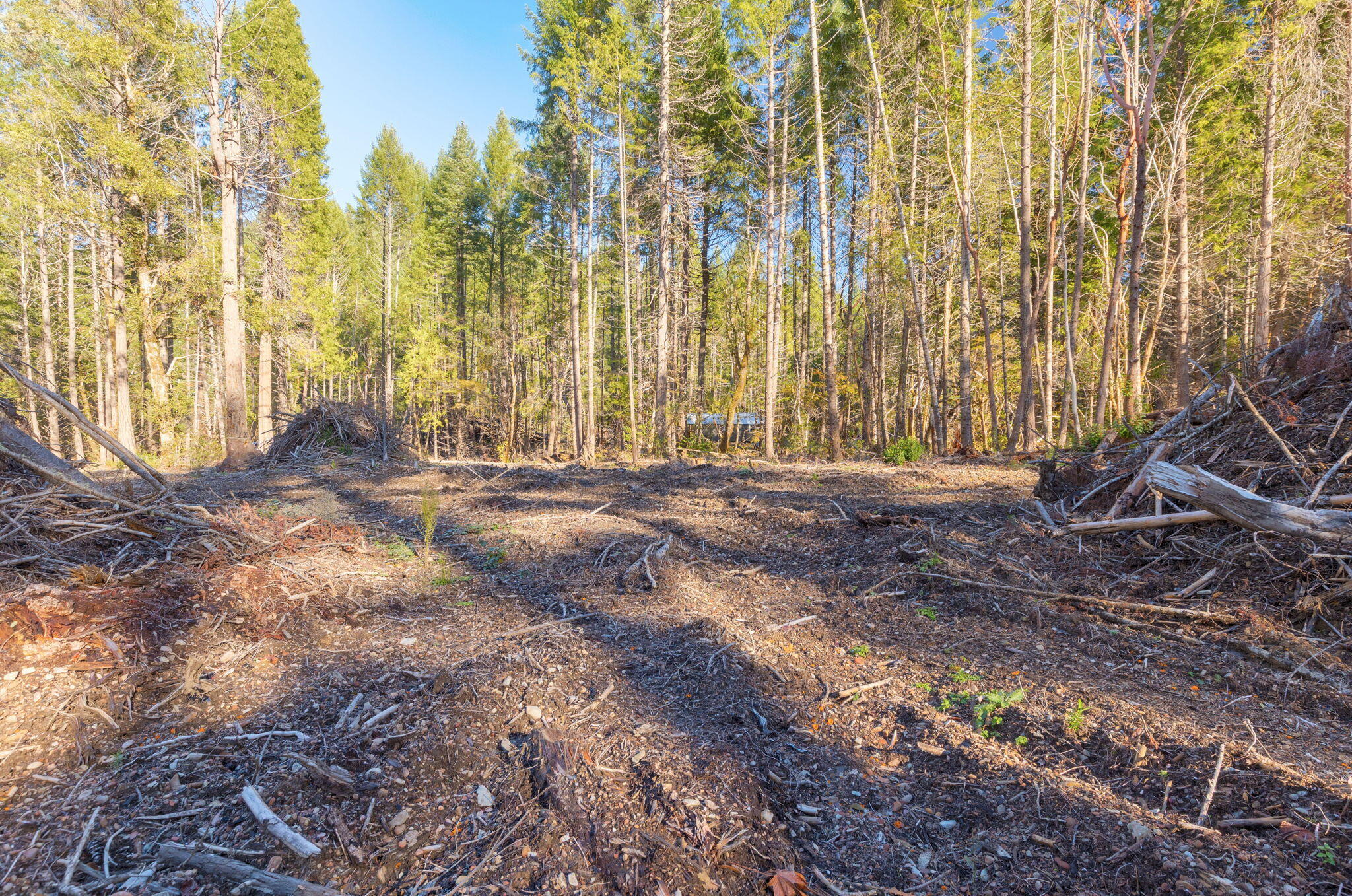 101 3 Mill Road Selma, OR 97538 - Photo 22 of 39 25-web-or-mls-101-3-mill-rd