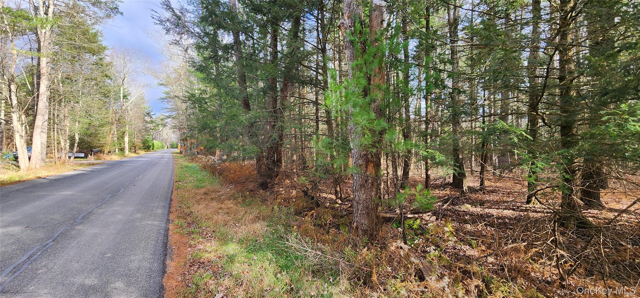 a view of a yard with plants and trees