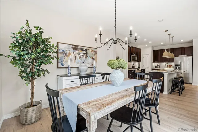 a dining room with furniture a rug and potted plants