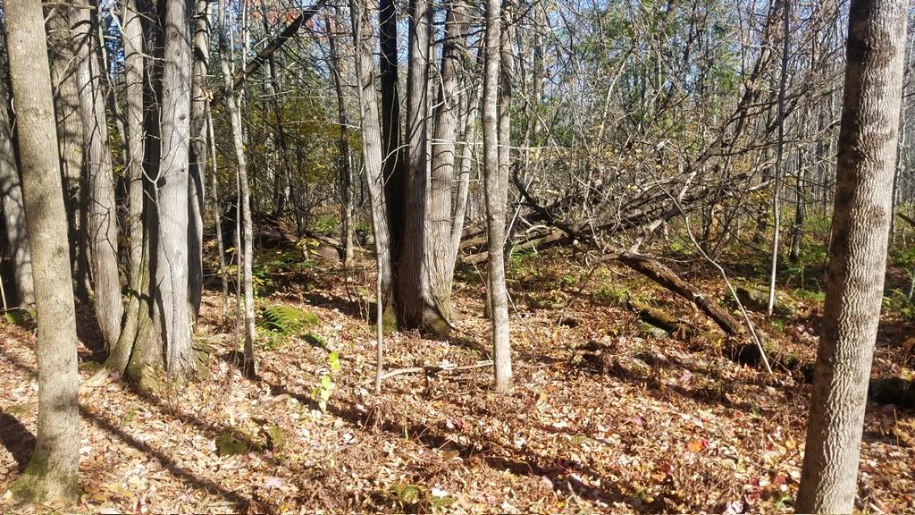M1-l184 M1-l184 North Road Ripley, ME 04930 - Photo 4 of 4 20191021_105353