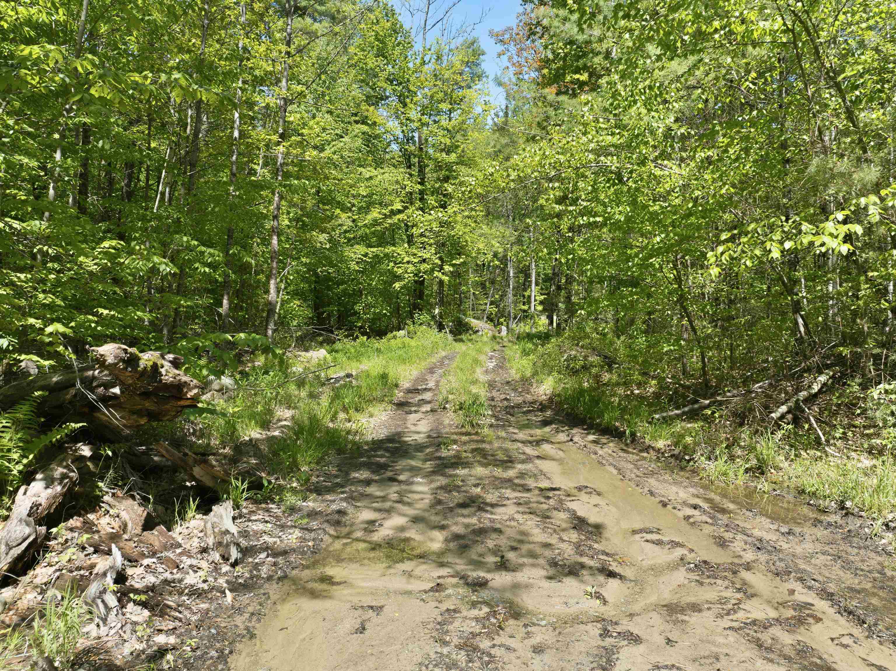 20 Fortsalong Road, Unit L Meredith, NH 03253 - Photo 1 of 7