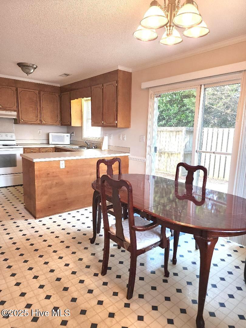1035 Spring Forest Road, Unit D10 Greenville, NC 27834 - Photo 3 of 15 kitchen4