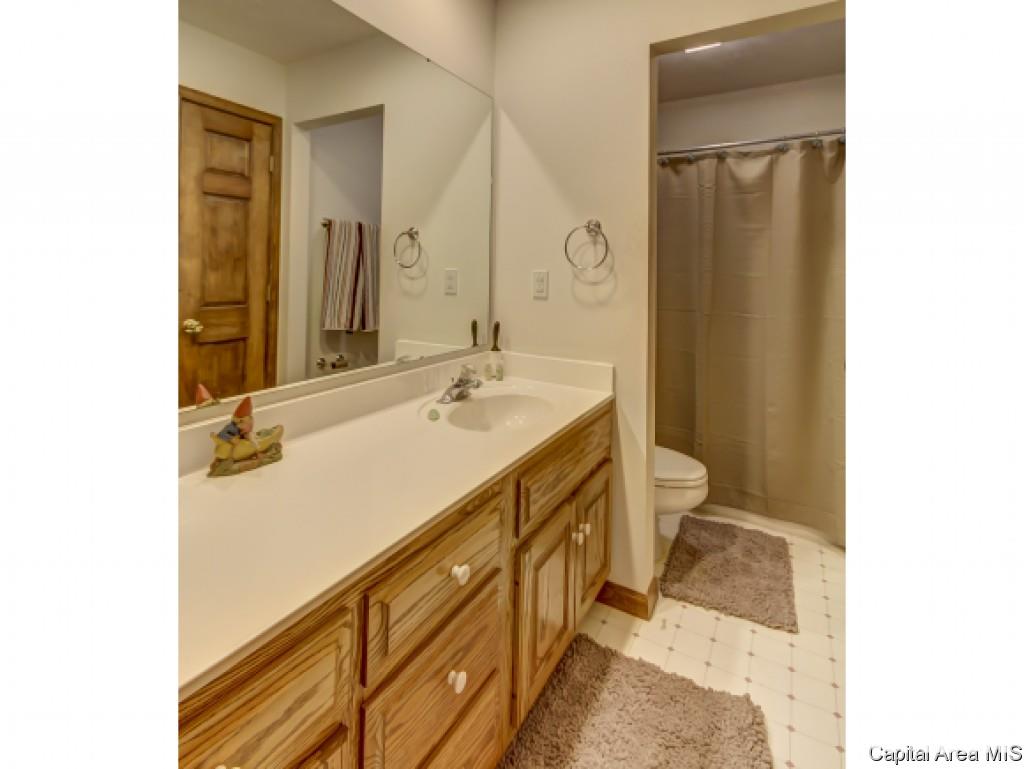 4 Gilson Drive Rochester, IL 62563 - Photo 17 of 36