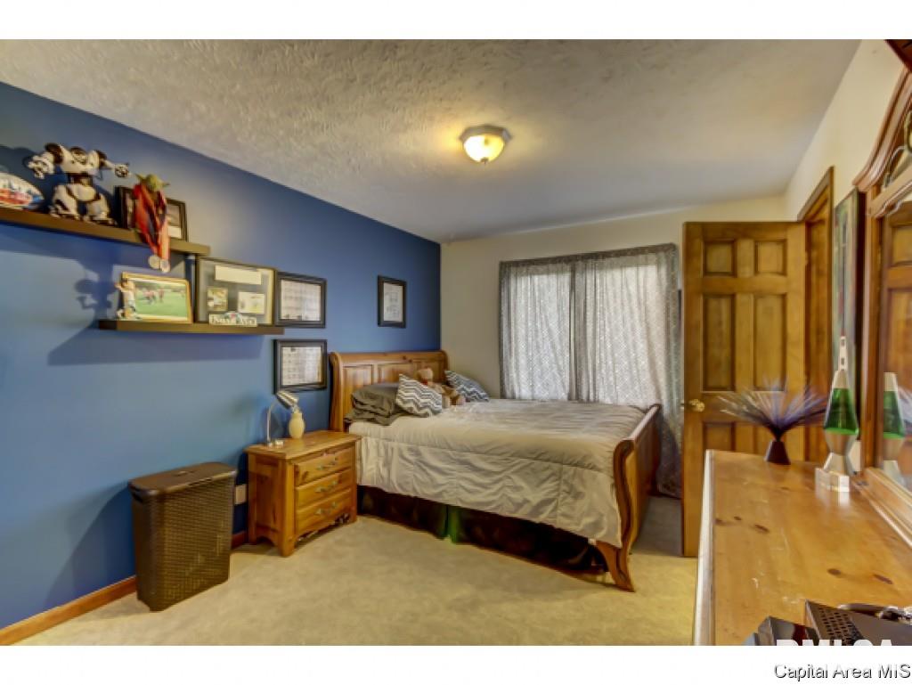 4 Gilson Drive Rochester, IL 62563 - Photo 18 of 36