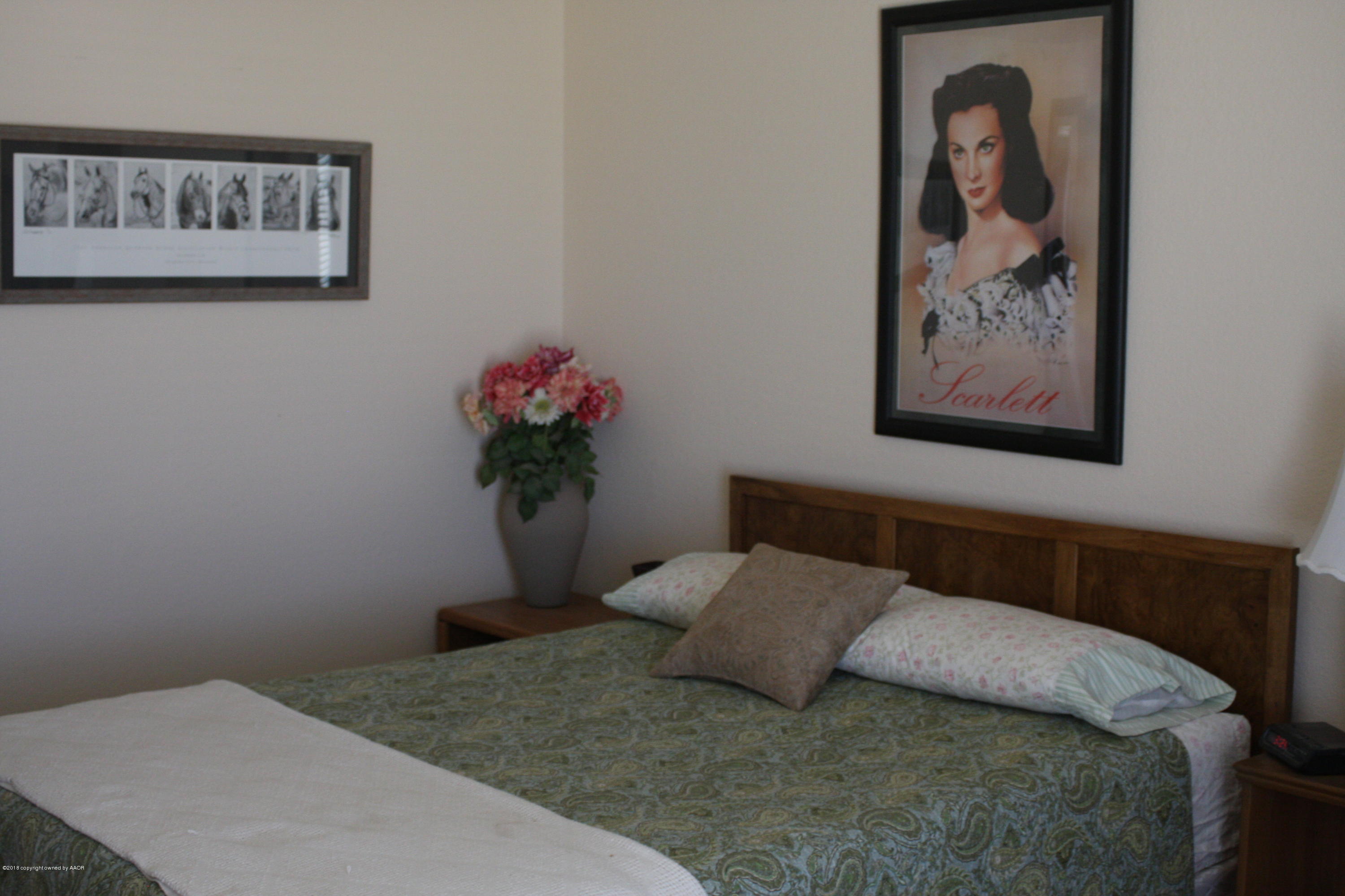 9110 Dowell Road Amarillo, TX 79119 - Photo 22 of 47 09aBR Bedroom 2-02