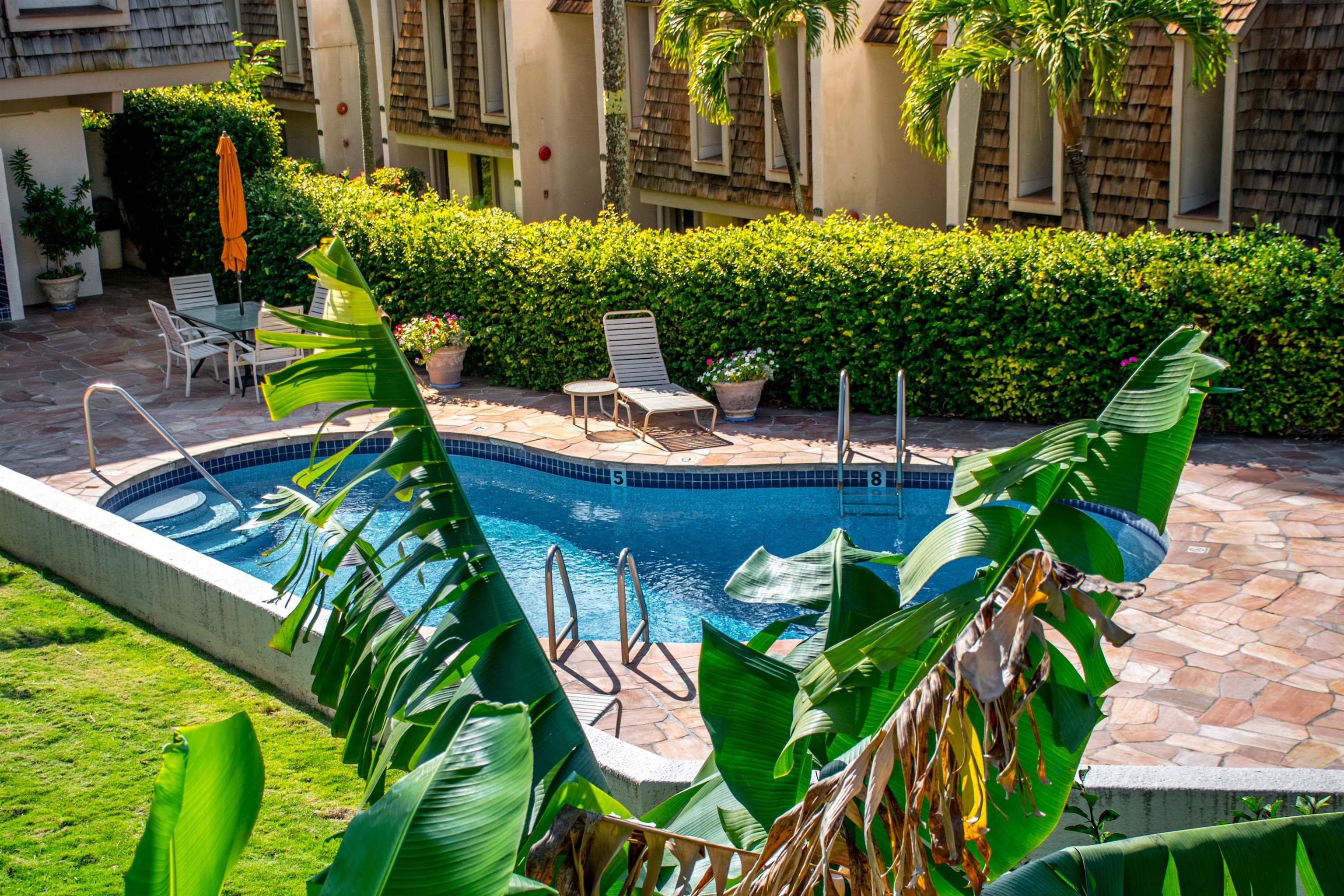 4007 Lower Honoapiilani Road, Unit 113 Lahaina, HI 96761 - Photo 21 of 27 Gallery Image 21