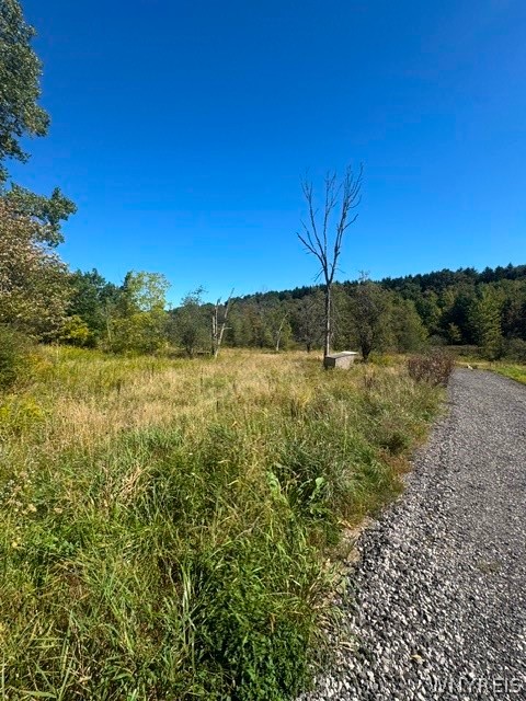 8049 Irish Road Colden, NY 14033 - Photo 26 of 30 Gallery Image 26