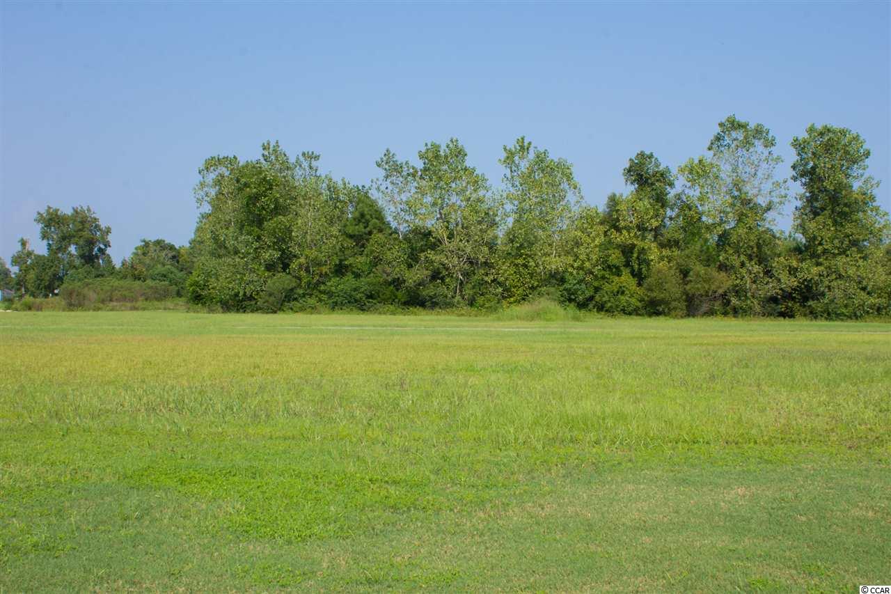 Lot 3 Rue De Jean Avenue Myrtle Beach, SC 29579 - Photo 2 of 21 Gallery Image 2