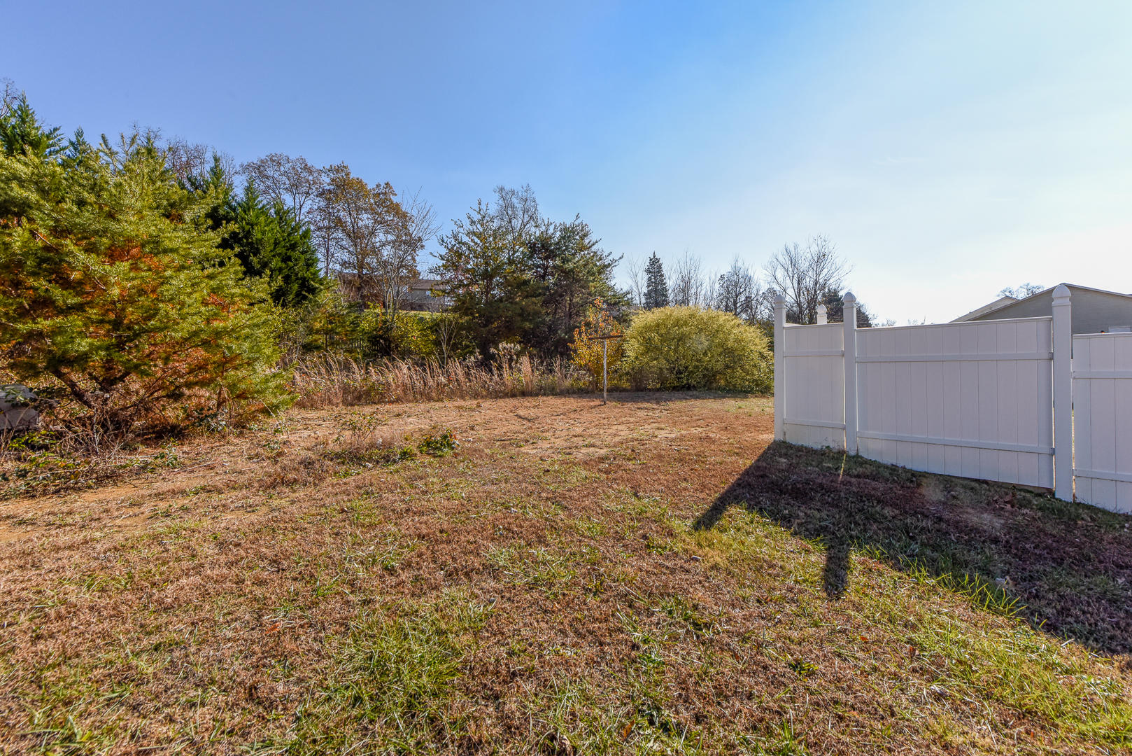 502 Hopewell Road Maryville, TN 37801 - Photo 3 of 29 Backyard extends beyond white fence