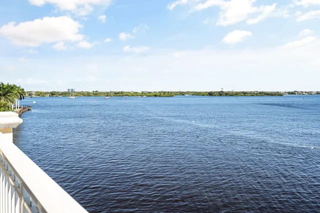 a row of palm trees and swimming pool in the backyard of a house