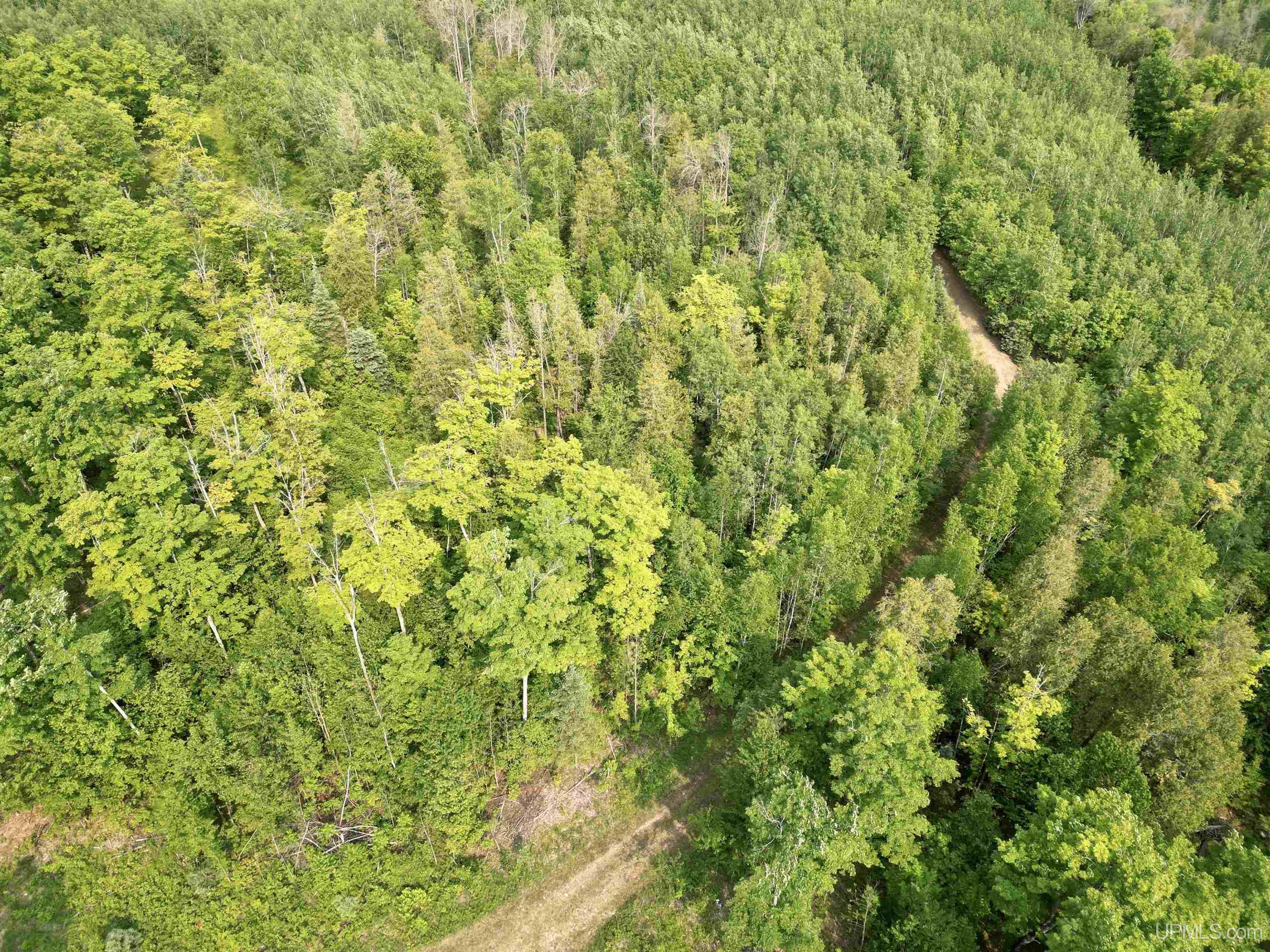 Nine Rd Felch Mi 49831 Road Felch, MI 49831 - Photo 5 of 16