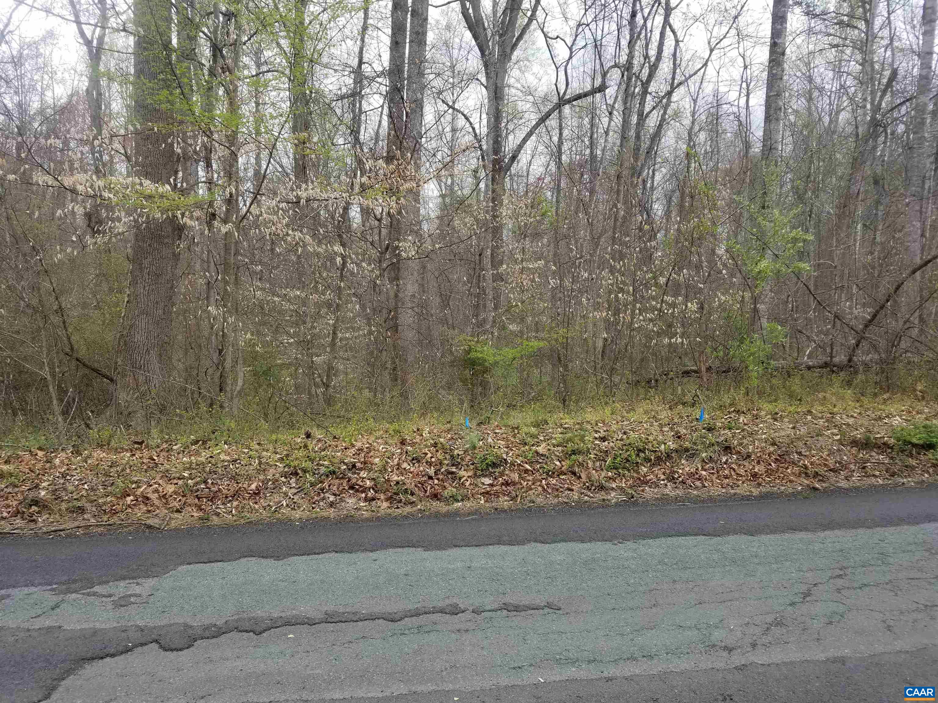 Three Old Three Notch'd Road Charlottesville, VA 22901 - Photo 2 of 24 a view of a yard