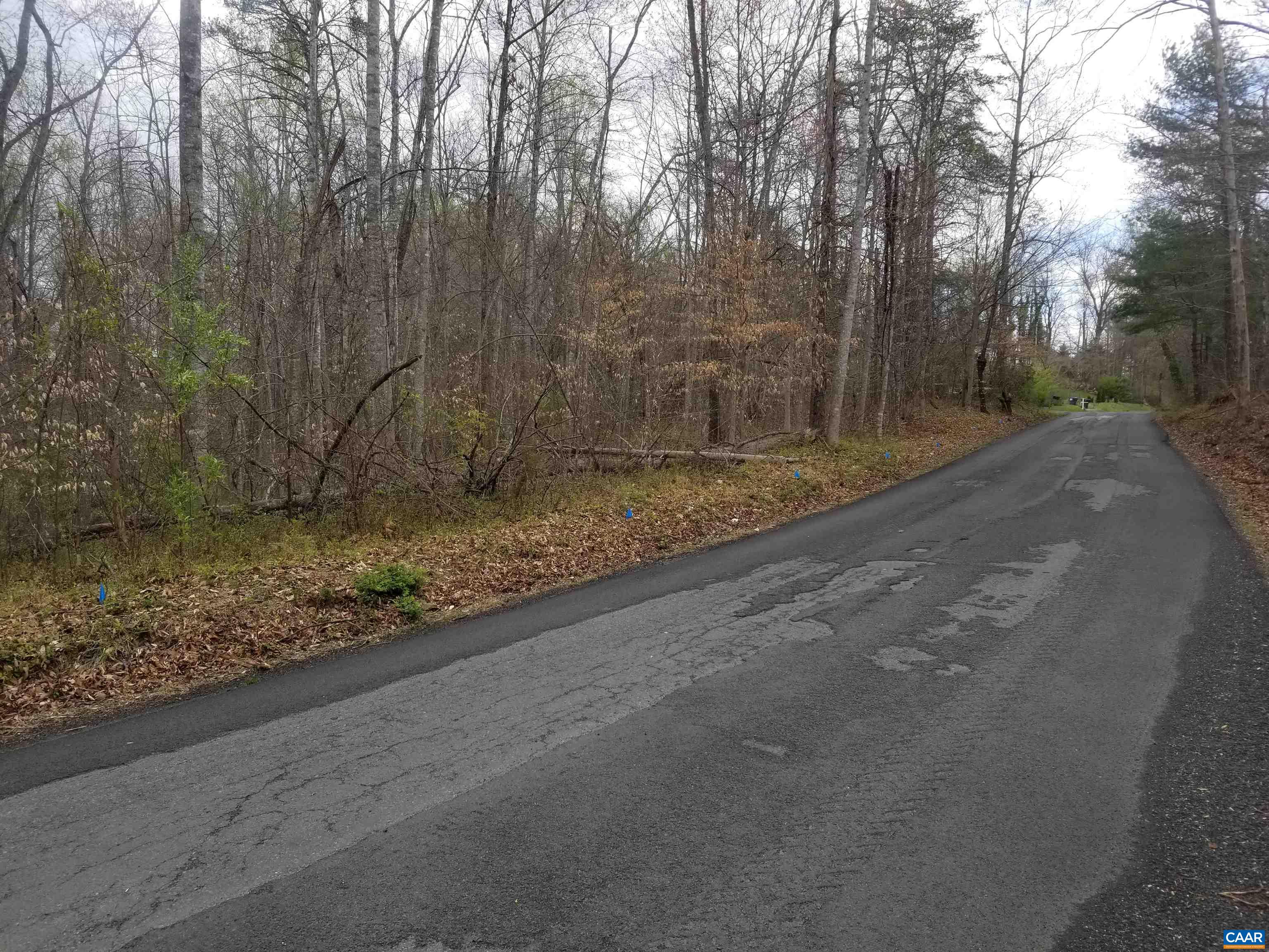Three Old Three Notch'd Road Charlottesville, VA 22901 - Photo 4 of 24 a view of a forest filled with trees
