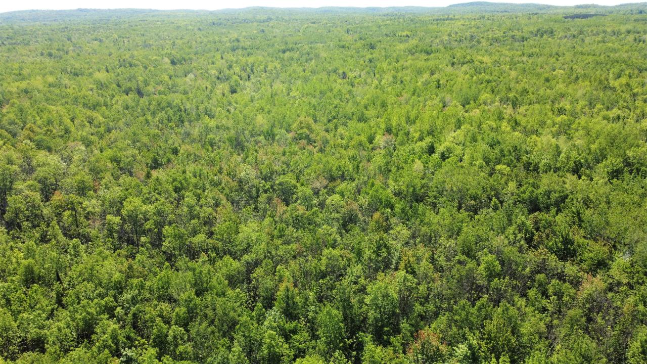 On North Lake Head Road Hurley, WI 54534 - Photo 27 of 39 Gallery Image 27