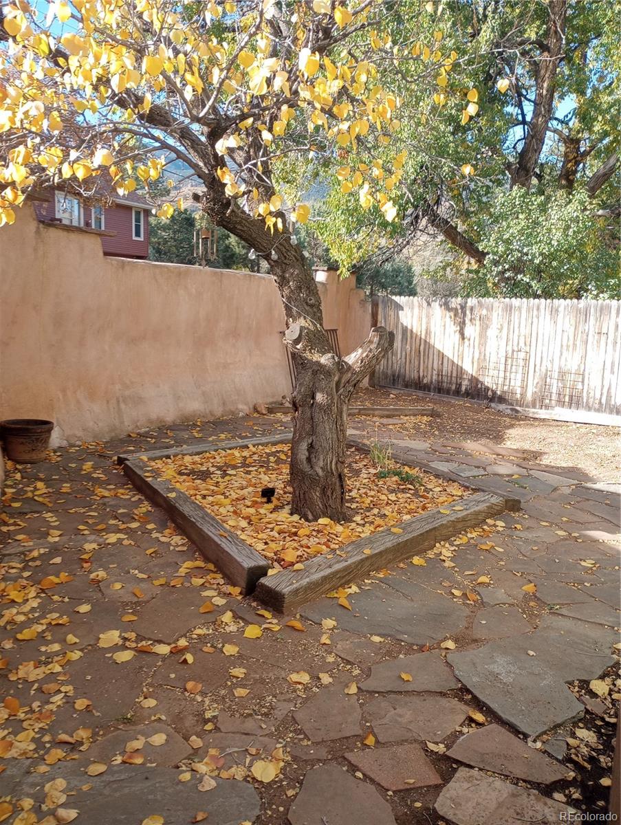 111 Crystal Park Road, Unit 1 Manitou Springs, CO 80829 - Photo 21 of 28 a view of a yard with trees