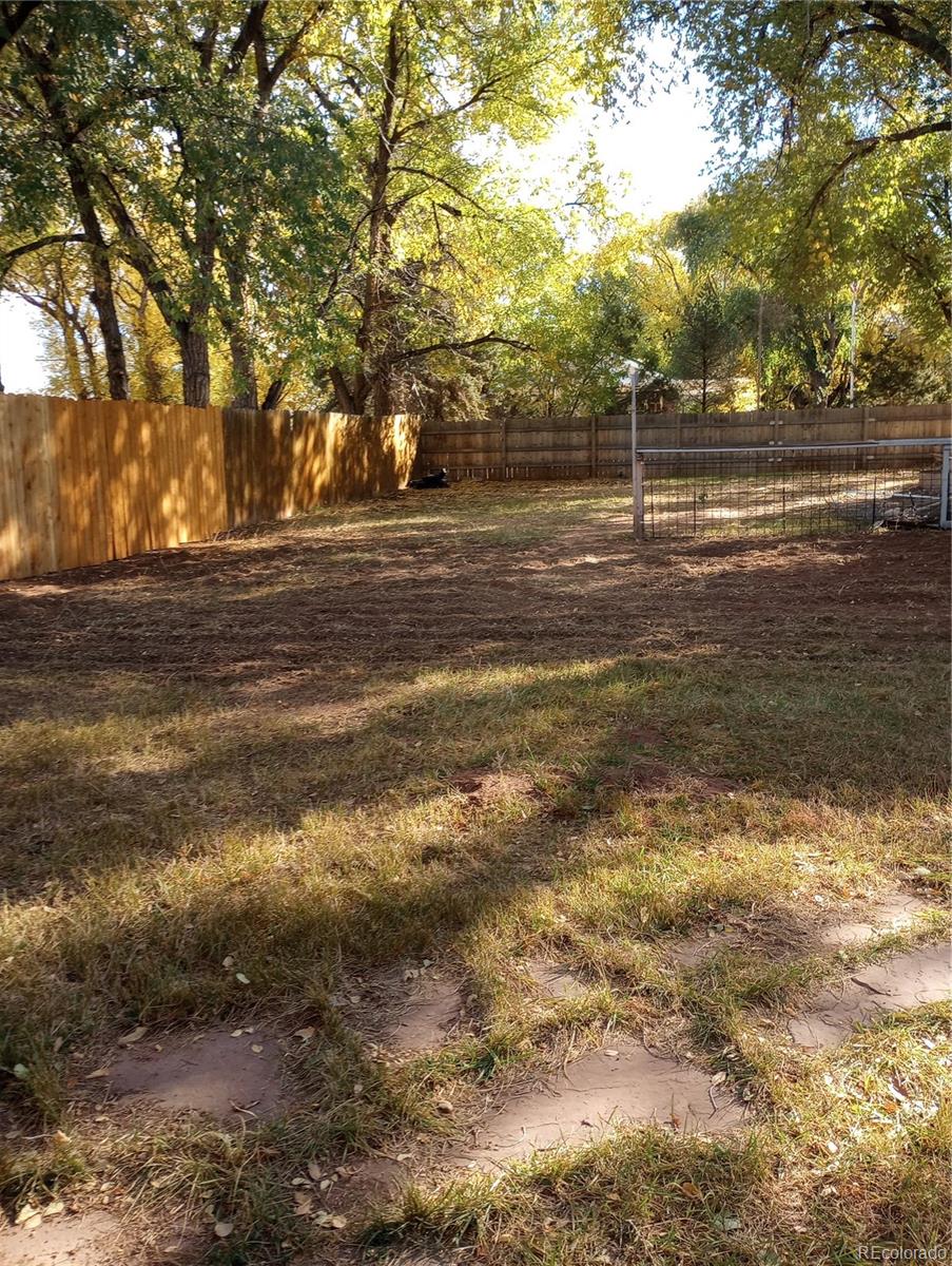 111 Crystal Park Road, Unit 1 Manitou Springs, CO 80829 - Photo 23 of 28 a view of road with trees