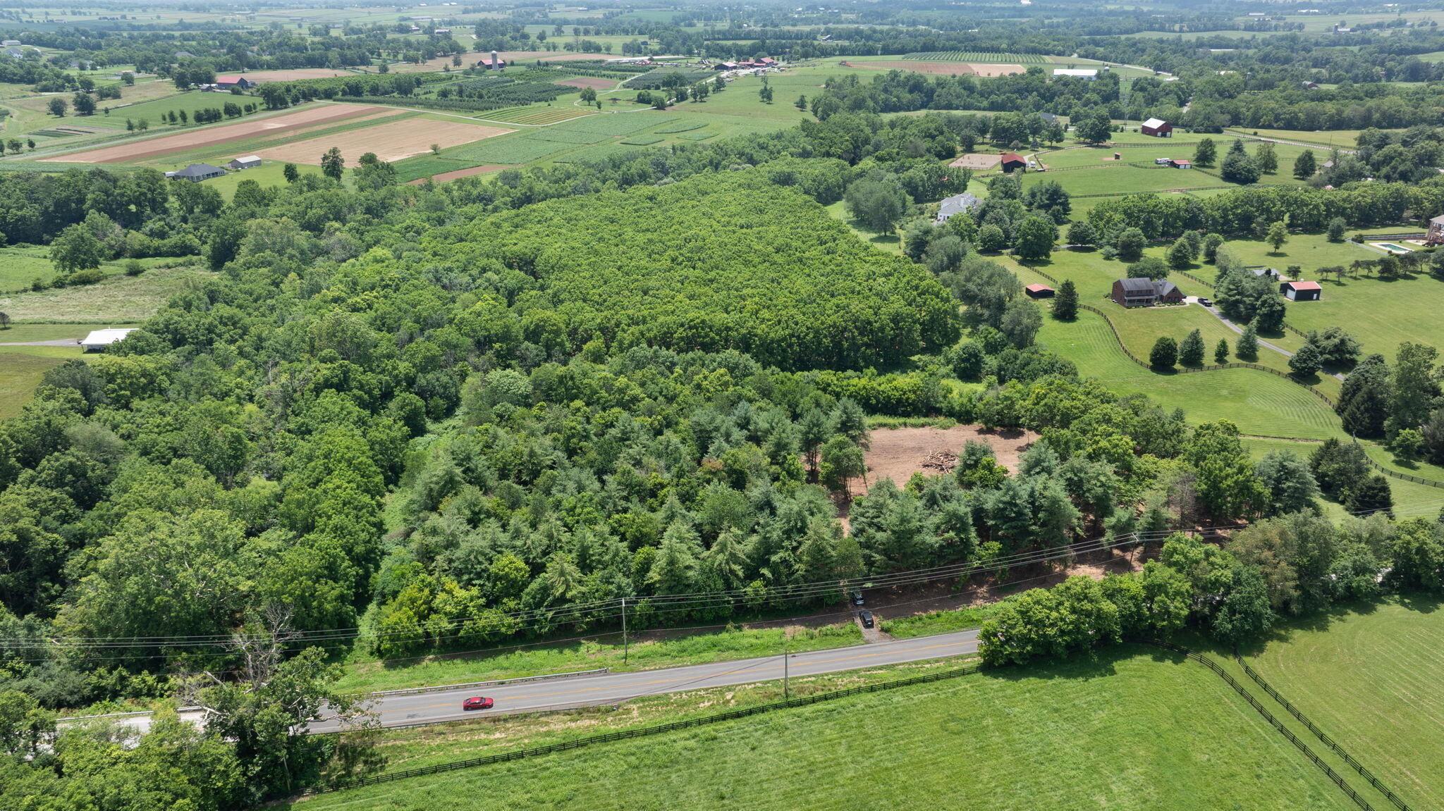 5365 Paris Road Georgetown, KY 40324 - Photo 4 of 43 1-web-or-mls-DJI_20250707134518_0201_D