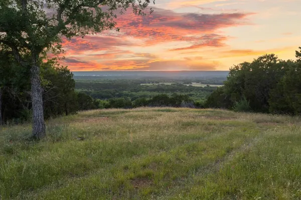 a view of a field with a tree in the background