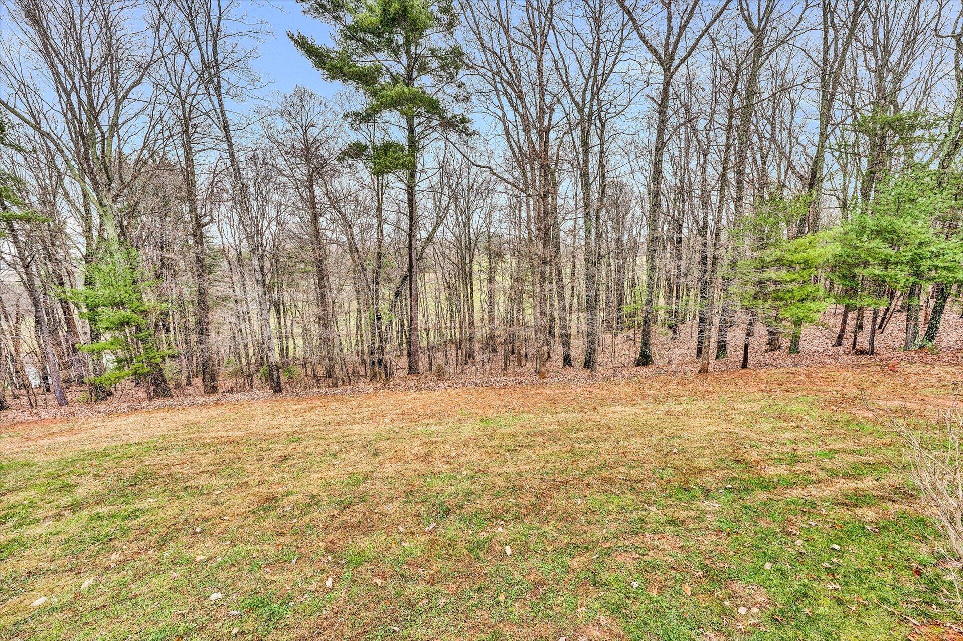 70 Cahas Summit Road Boones Mill, VA 24065 - Photo 42 of 48 Nice 1 AC Yard