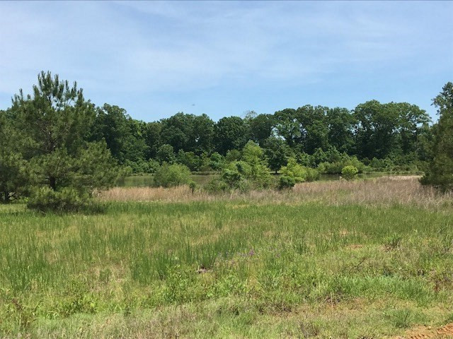 163 Iron Oak Ridge, Unit 359 Brandon, MS 39042 - Photo 3 of 4 Photo 3