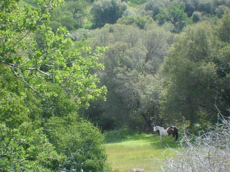 47560 Creekside Road Squaw Valley, CA 93675 - Photo 3 of 23 Gallery Image 3