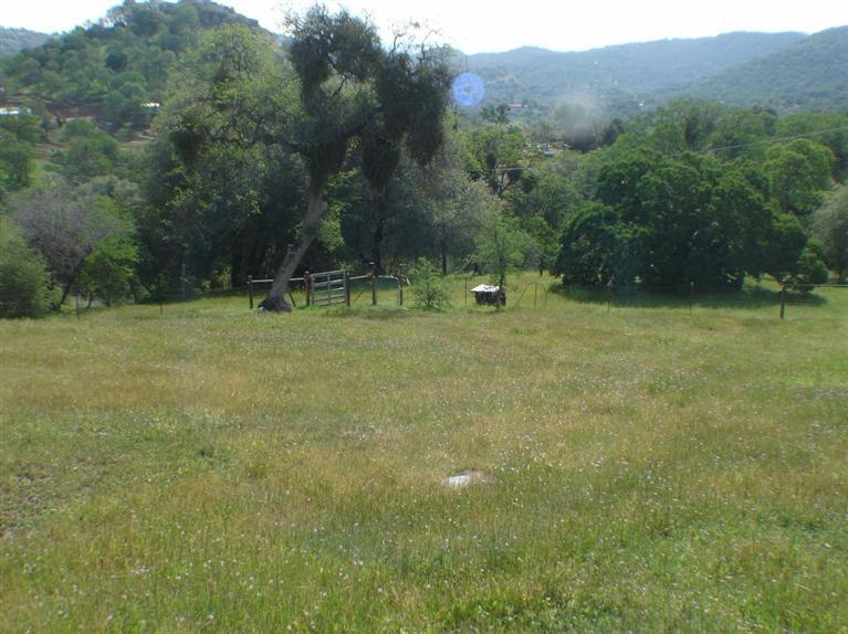 47560 Creekside Road Squaw Valley, CA 93675 - Photo 10 of 23 pasture
