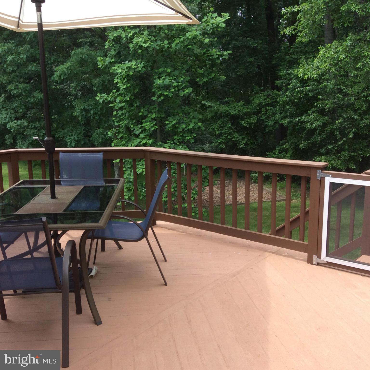 15516 Langside Street Silver Spring, MD 20905 - Photo 29 of 30 Exterior (Rear)