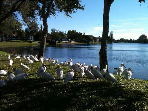 a view of a lake from a yard