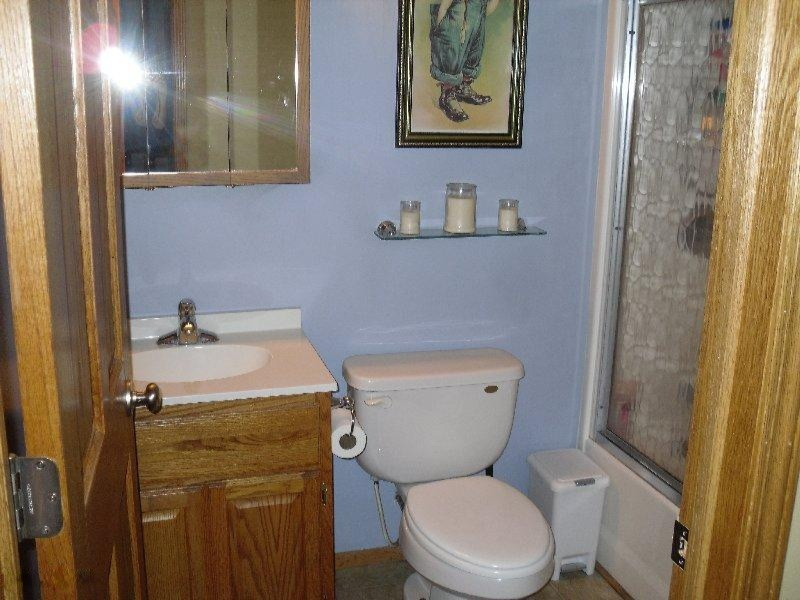 2849 Brunswick Road Holton, MI 49425 - Photo 9 of 19 002