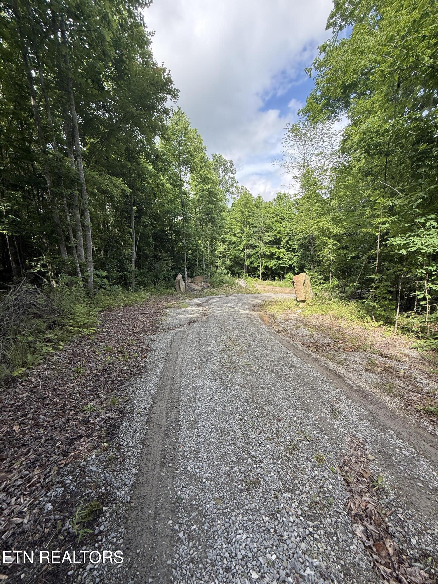 549 Defender Road La Follette, TN 37766 - Photo 40 of 42 Driveway