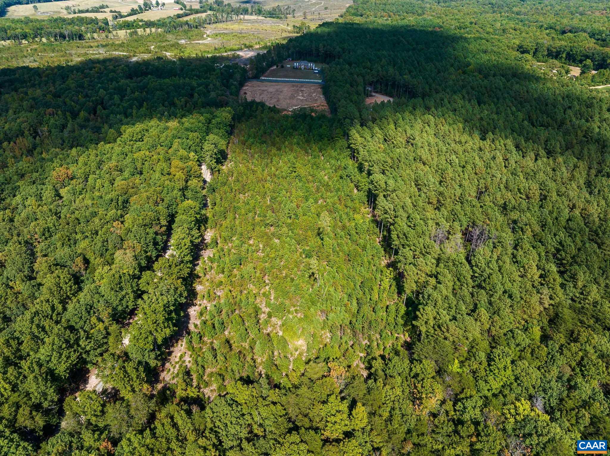 0 Tisdale Road Louisa, VA 23093 - Photo 10 of 14 a view of a garden with a lake
