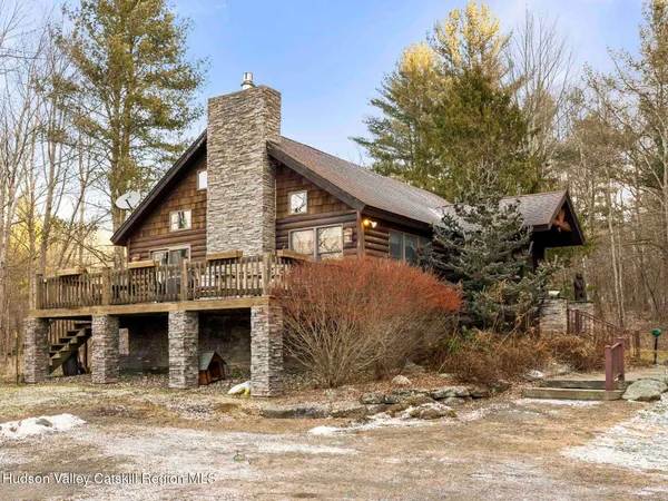 a view of a dry yard with trees