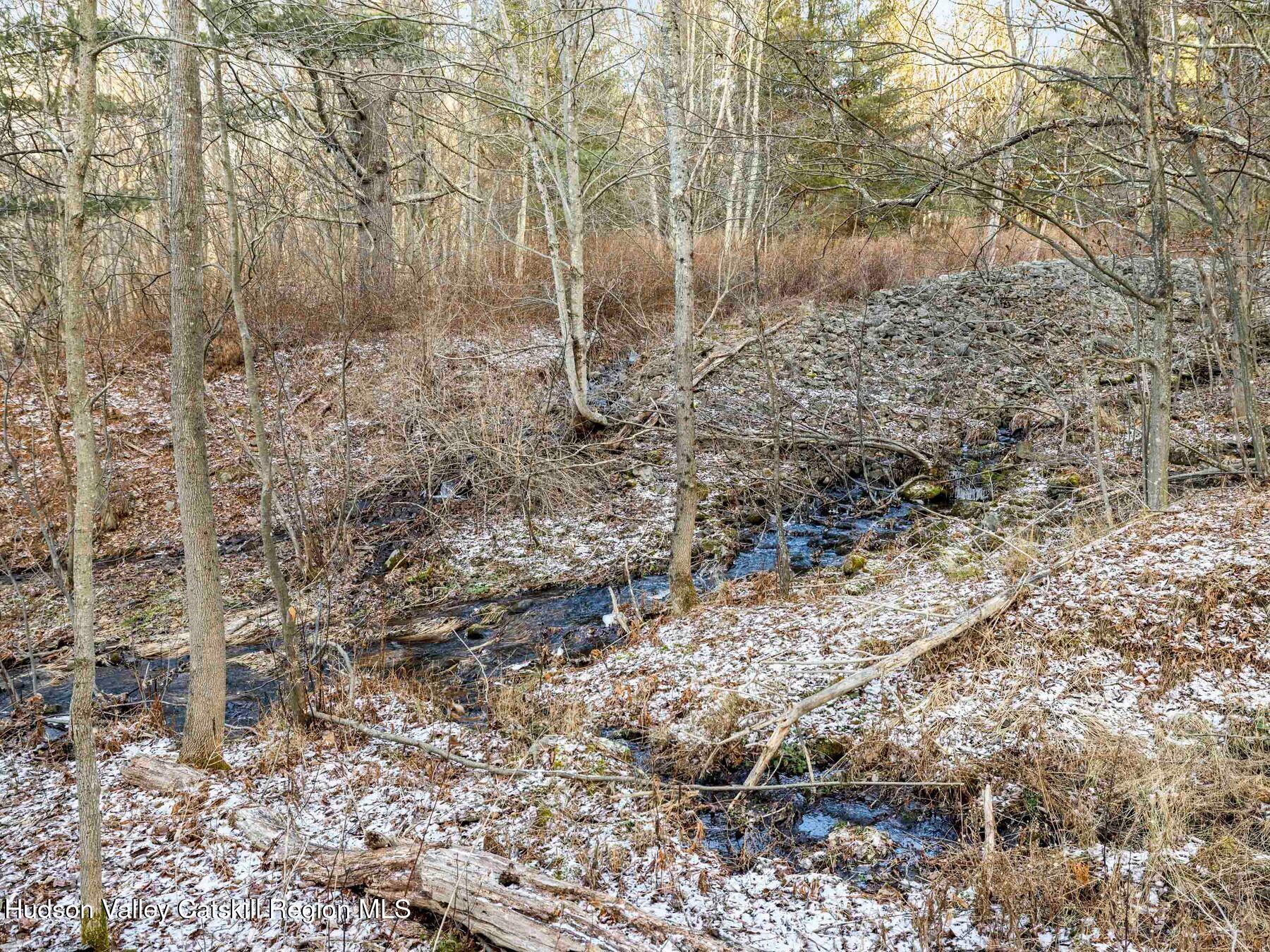 83 Lawrence Road Jewett, NY 12442 - Photo 39 of 52 a view of a dry yard with trees
