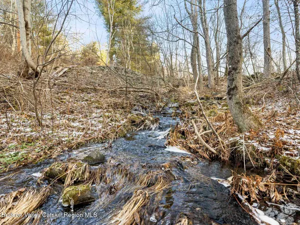 a view of covered with green space