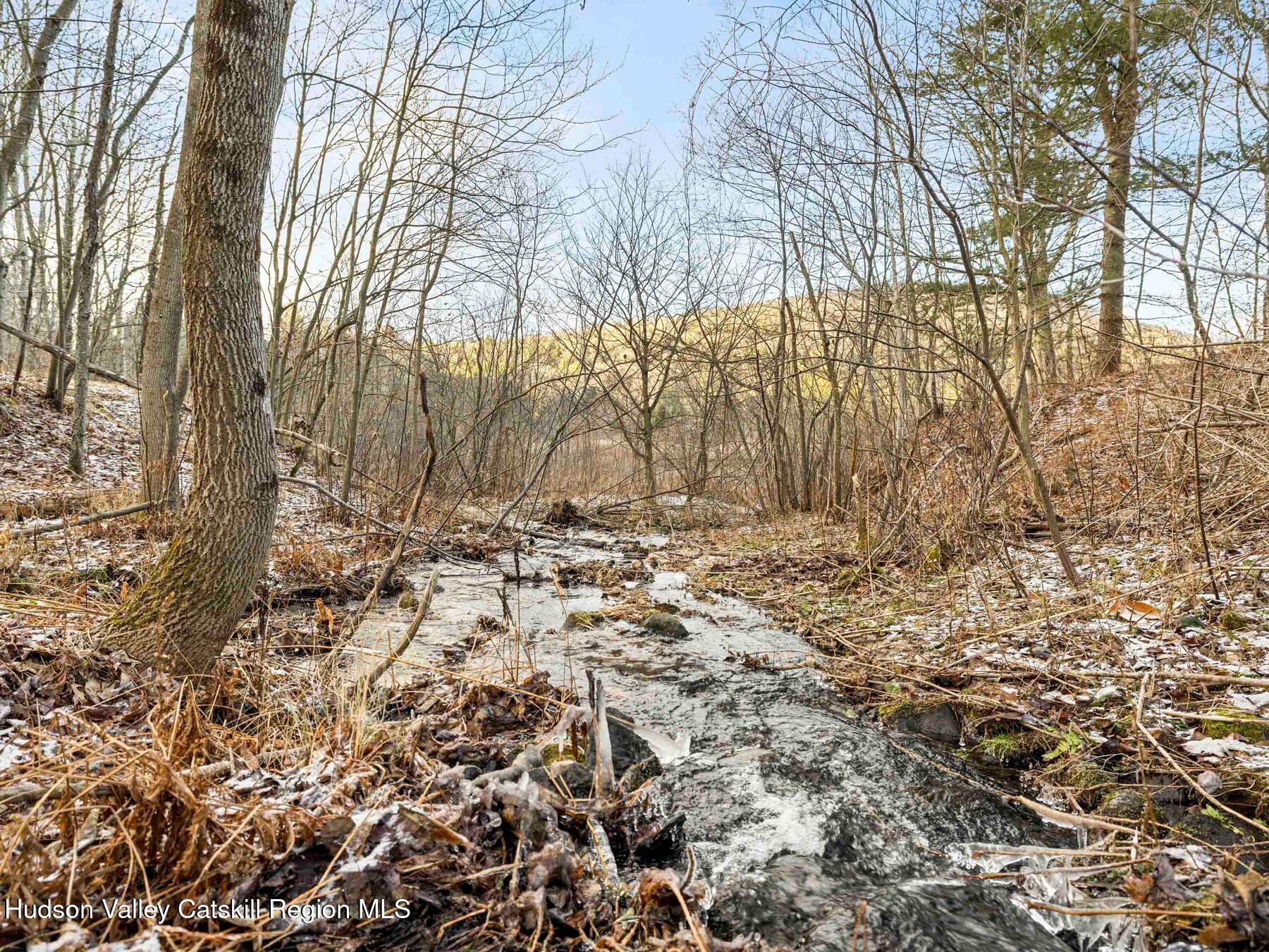 83 Lawrence Road Jewett, NY 12442 - Photo 41 of 52 a view of covered with green space