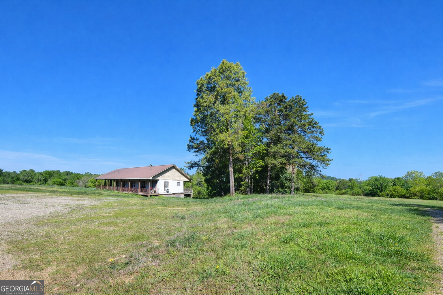 a view of a garden with a house in the background