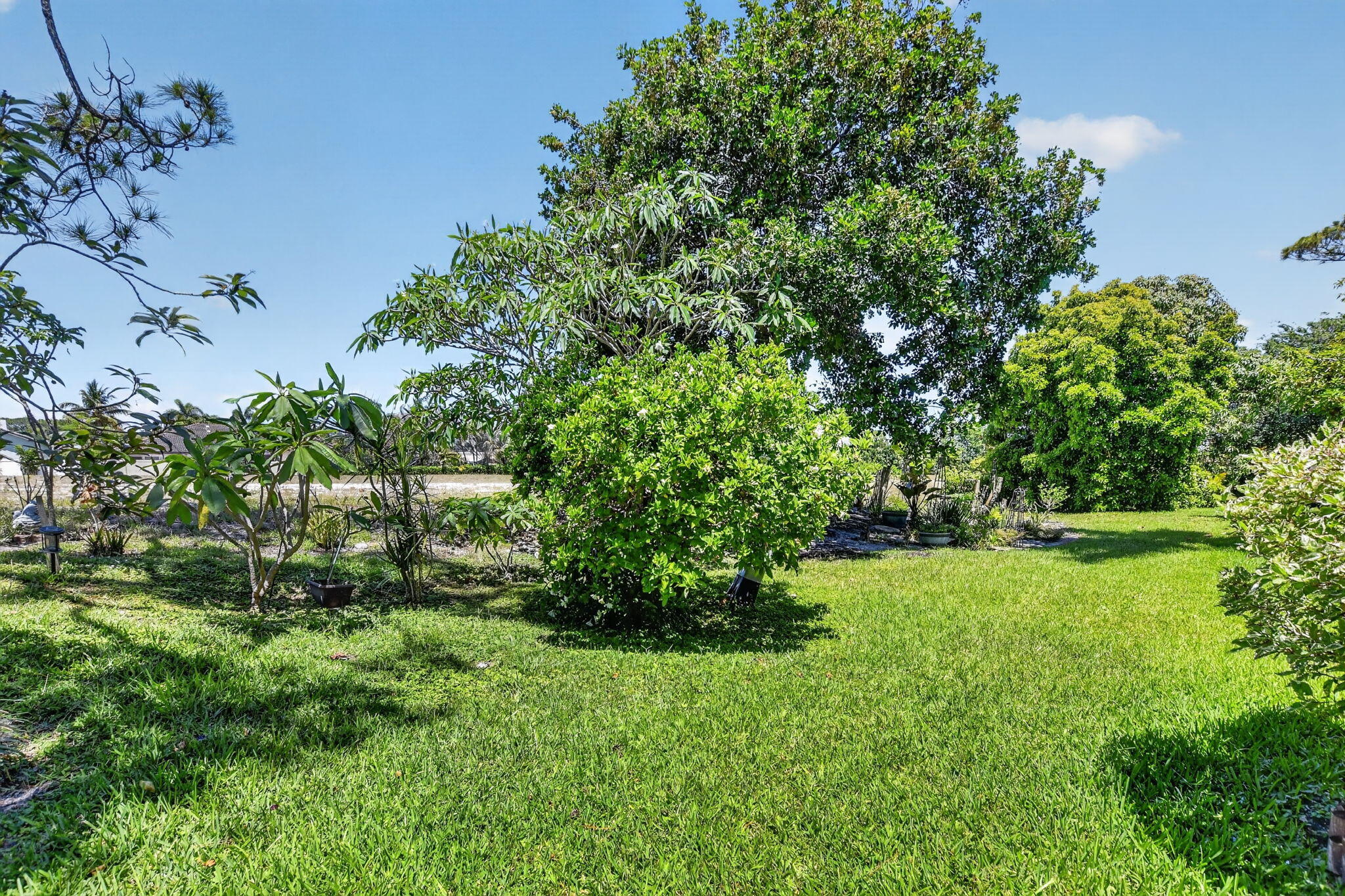 6062 Glendale Drive Boca Raton, FL 33433 - Photo 48 of 58 Garden green views
