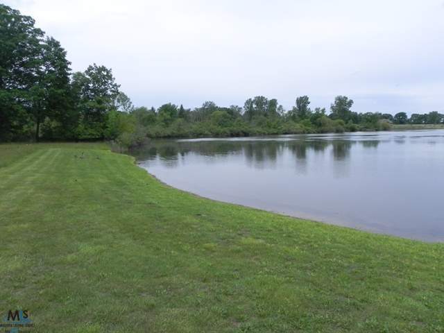 11543 Erin's Way Romeo, MI 48065 - Photo 20 of 28 31084983-19.JPG