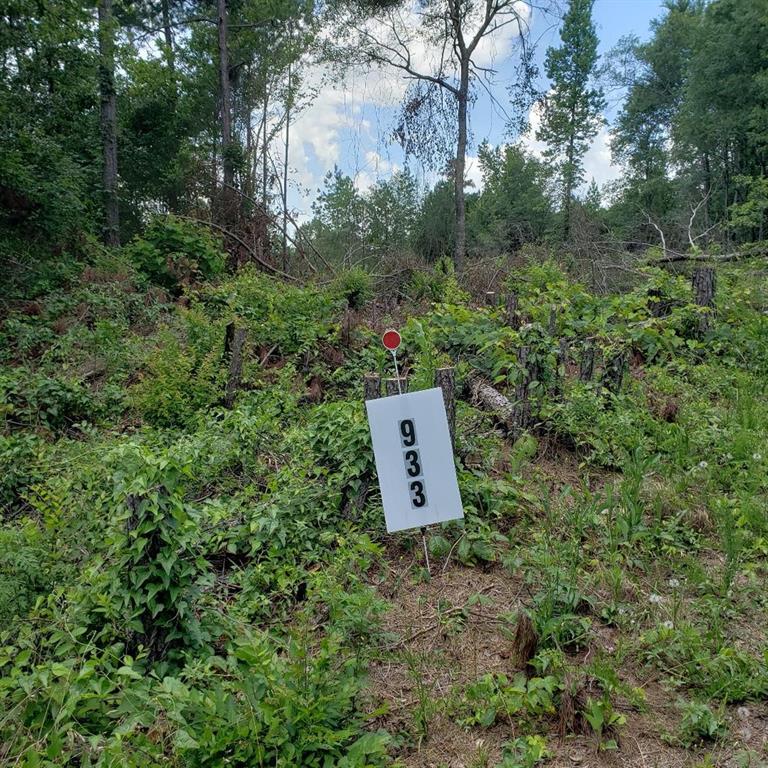 933 East Atlanta Road Stockbridge, GA 30281 - Photo 1 of 1
