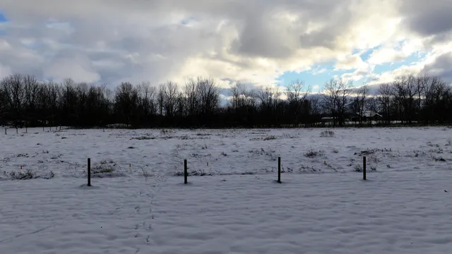 $84,900 | 1 Lowell Mi 49331, Lowell, MI 49331