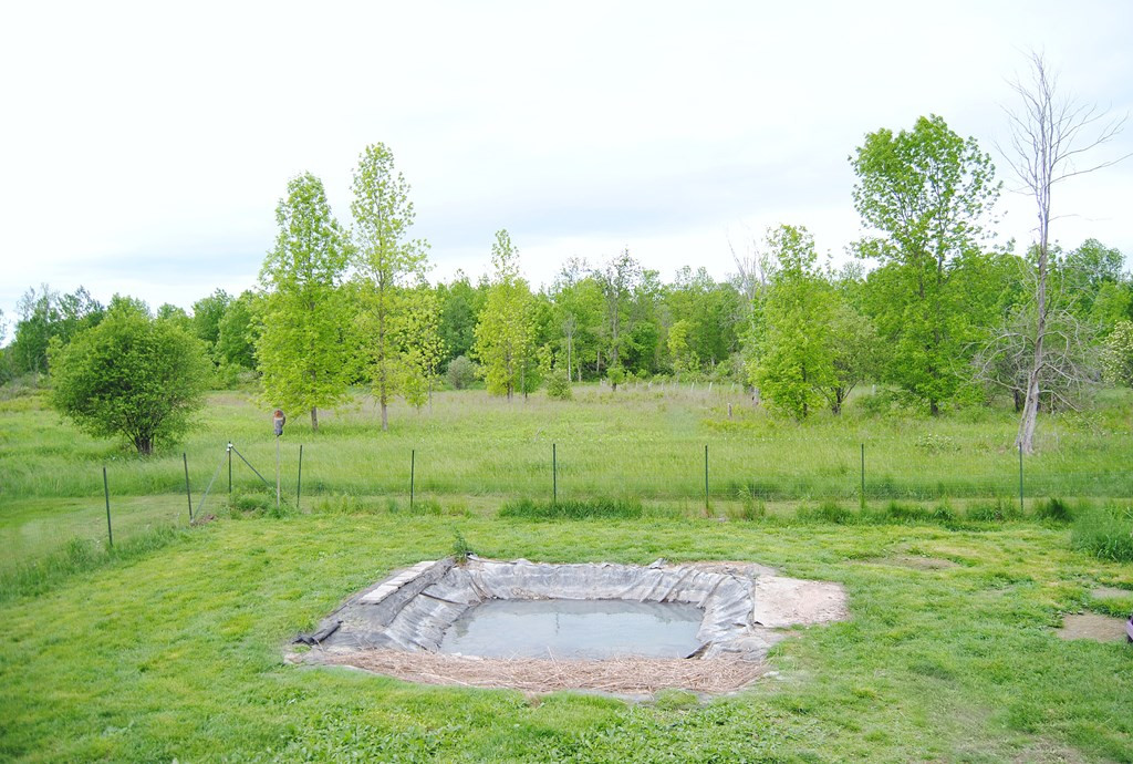 317 Moffitt Road Plattsburgh, NY 12901 - Photo 20 of 20 Gallery Image 20