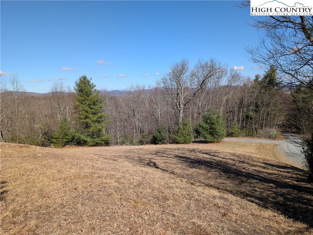 718 Green Mountain Road Sparta, NC 28675 - Photo 9 of 30
